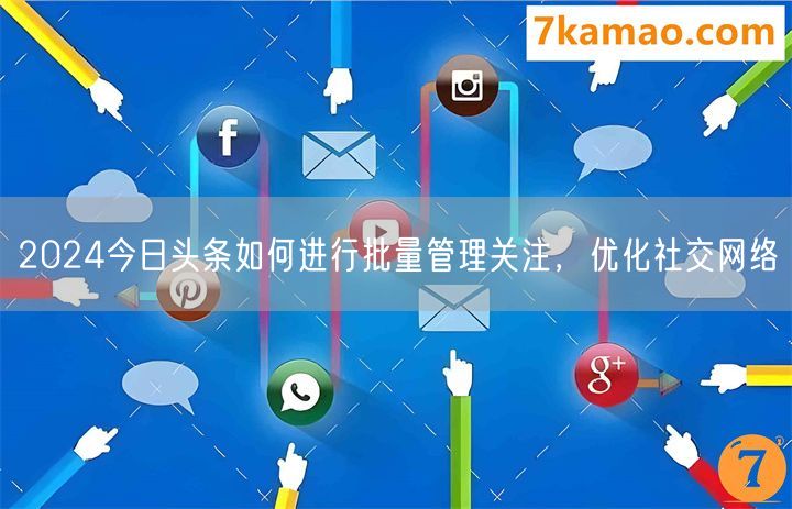 2024今日头条如何进行批量管理关注，优化社交网络